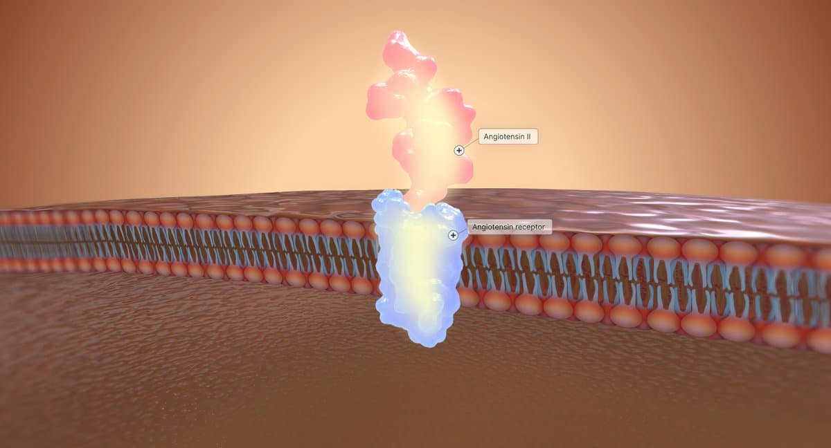 The EFG Rule for Recognition