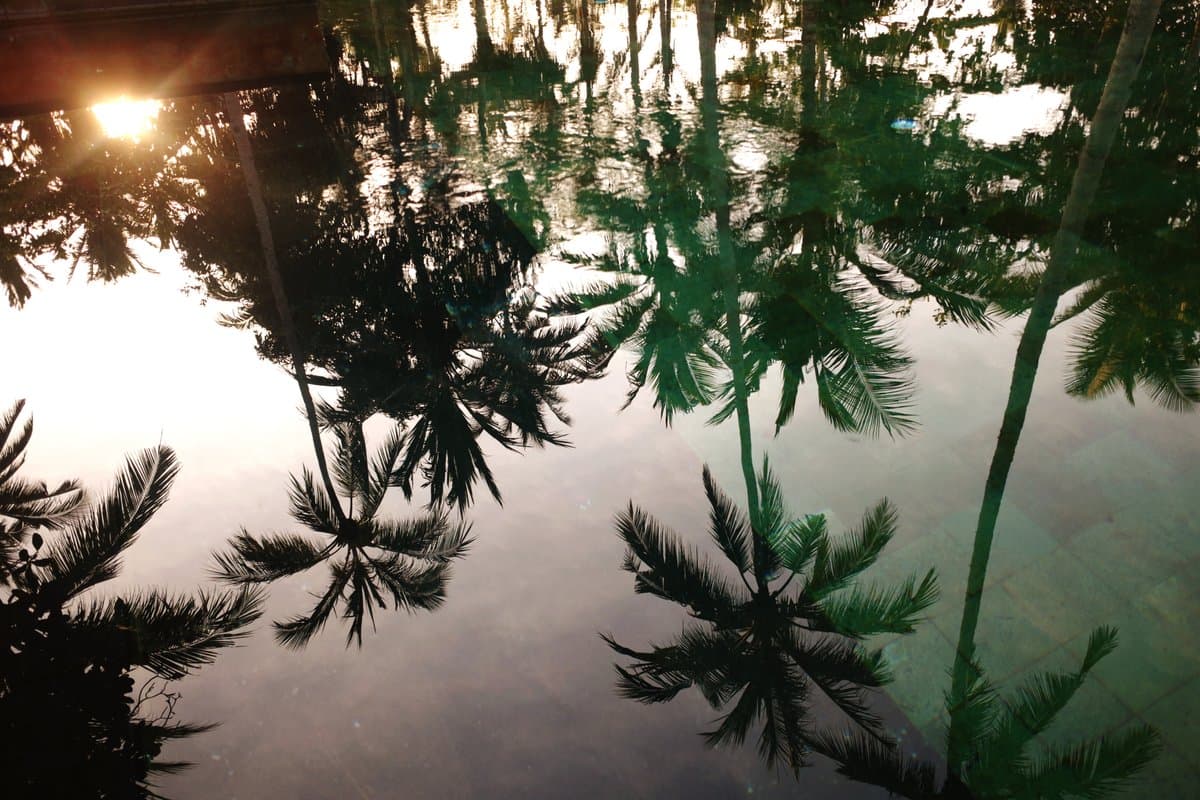 What Causes the Yeast to Overgrow?