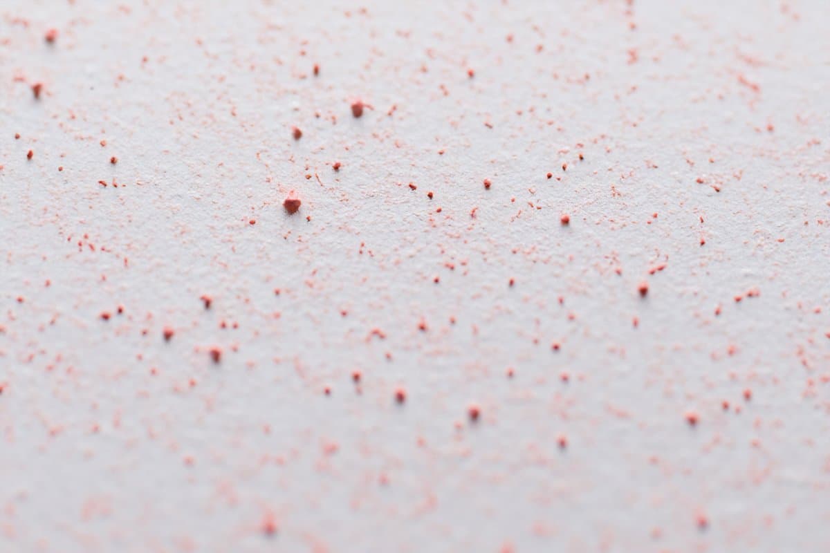 Buni vs Eczema: Paano Malalaman ang Pagkakaiba