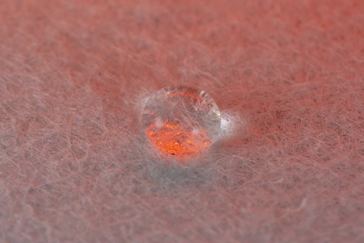 What Does It Look Like?